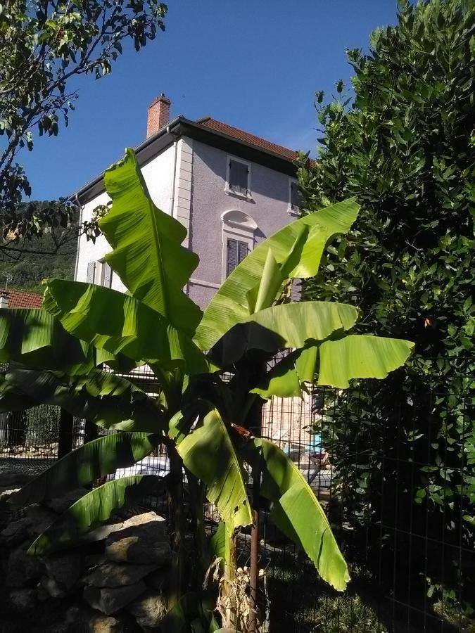 A Deux Pas Du Rheby Hotel Villebois Eksteriør billede